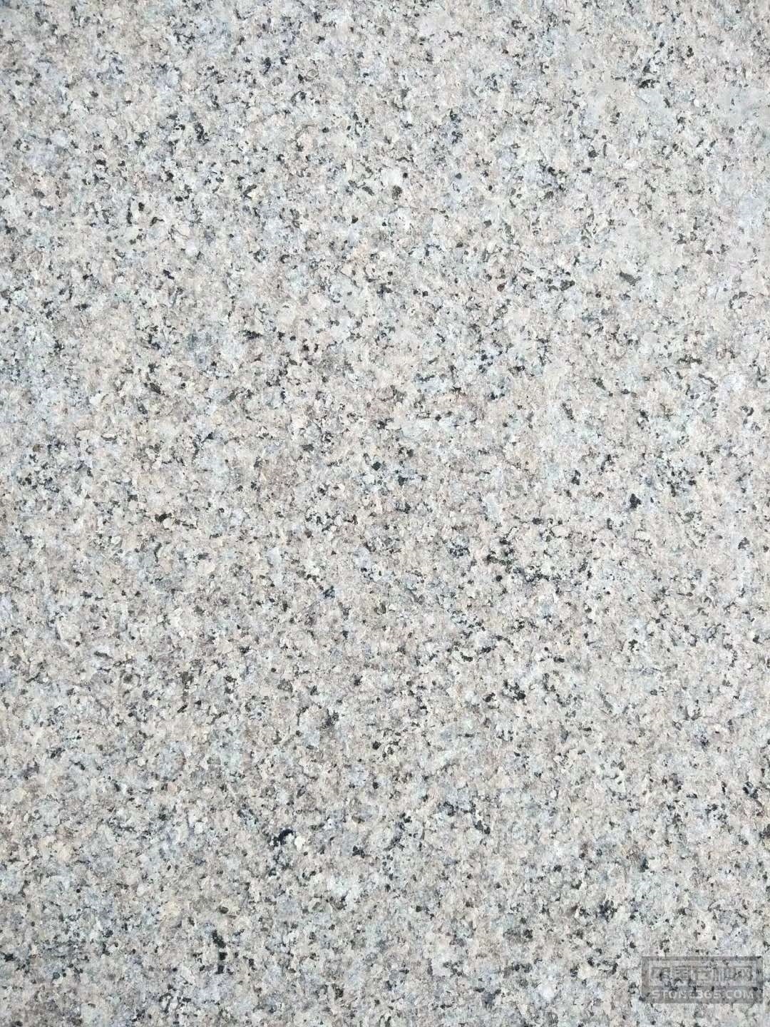 云游传统村落：数字为翼古村新生(图1)