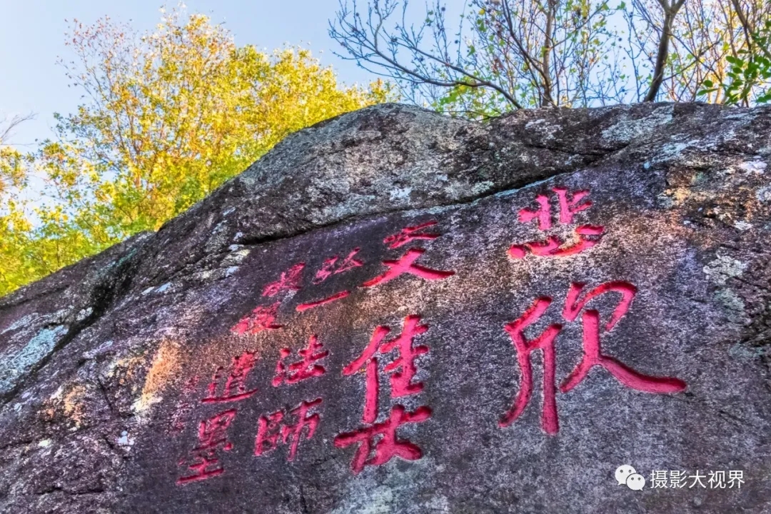 2026石龙柱厂家推荐石雕盘龙柱古建石汉白玉广场厂家优选指南!(图1)